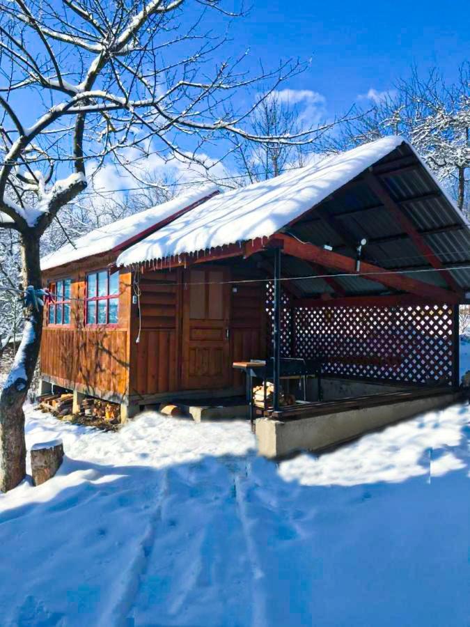 Під Лісом У Гіда Villa Yaremche Exterior photo